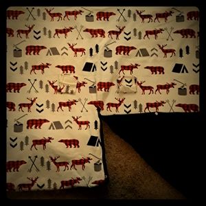 Carseat cover